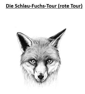 Schlaue-Fuchs-Tour
